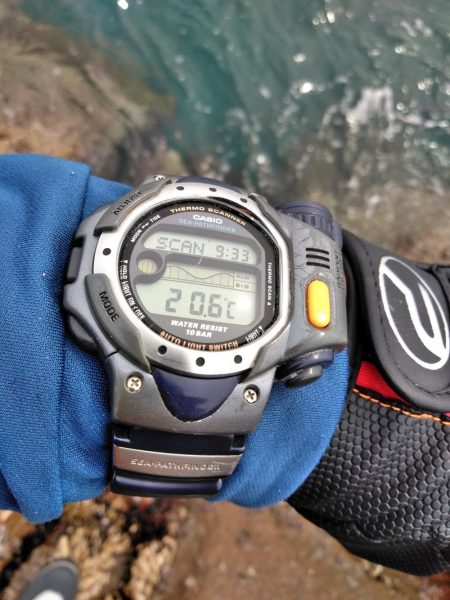 グレ・サンコ・釣れ出す・・