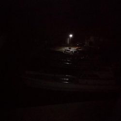 アジングのつもりでしたが