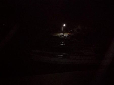 アジングのつもりでしたが