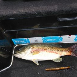 GWアシ打ちまだいけます!