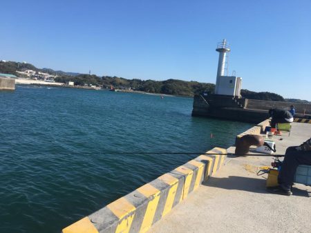 小アジ　赤多い