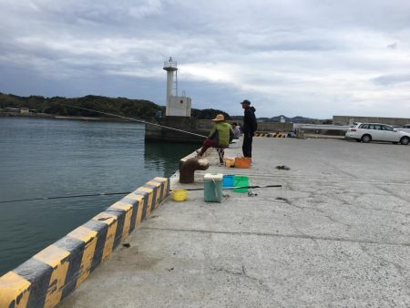 コアジ3匹、イワシ13匹