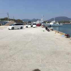 コアジ13匹、コイワシ13匹