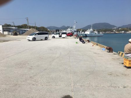 コアジ13匹、コイワシ13匹