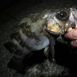 前人未踏のポイント新規開拓！？