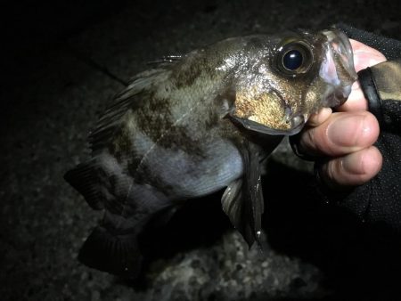 前人未踏のポイント新規開拓！？