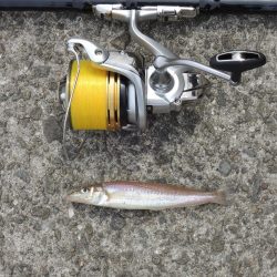 キスは時期尚早