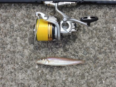 キスは時期尚早