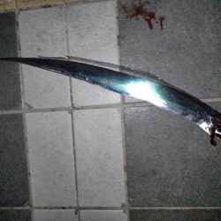 平成最後の春タチ釣行