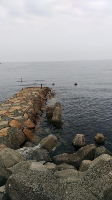 なんちゃってメバリング