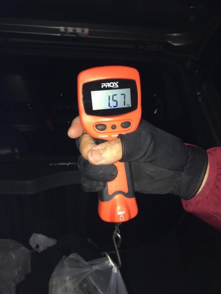 アオリイカ2キロオーバー連発！