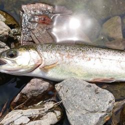 水瀬川 尺代漁業協同組合。