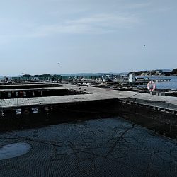 久しぶりの釣堀でした!!