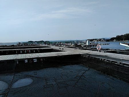 久しぶりの釣堀でした!!