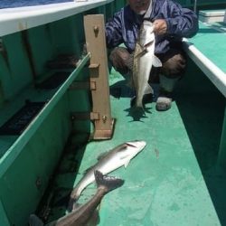 第二むつ漁丸 釣果