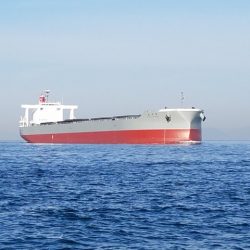 遊漁船 ニライカナイ 釣果