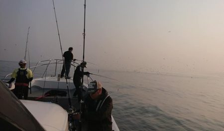 スカイマリン 釣果