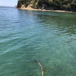 春イカ、、、のはずが寒波で激シブのエギング