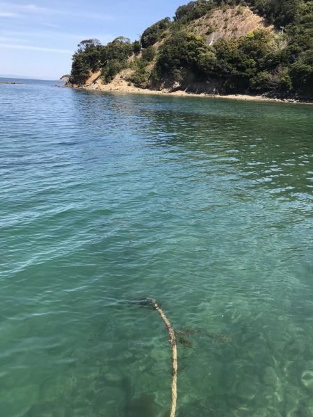 春イカ、、、のはずが寒波で激シブのエギング