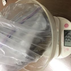 エイリアン襲来