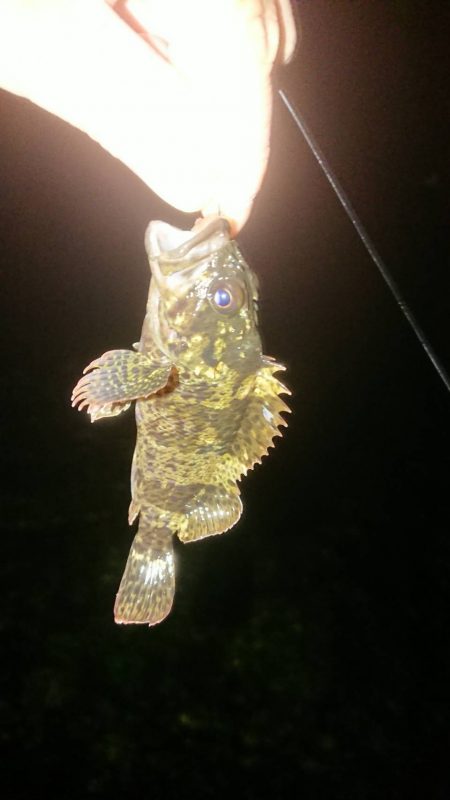 いつのと違うパターンで挑戦