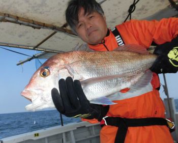 土佐安芸のハマちゃんの釣果
