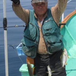 土佐安芸のハマちゃんの釣果