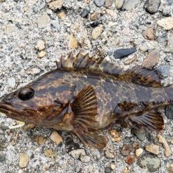 家族旅行のついでに