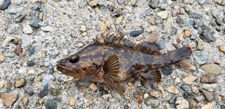 家族旅行のついでに