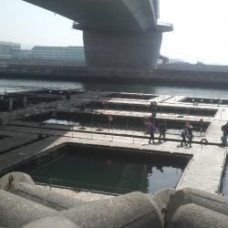 優しい方々に感謝です。