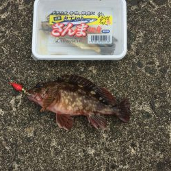 やっぱり穴たが好き