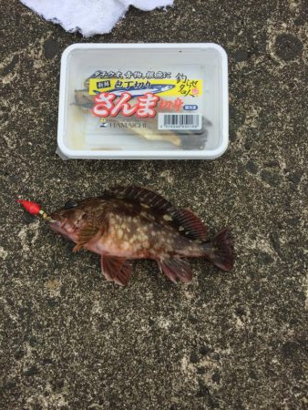 やっぱり穴たが好き