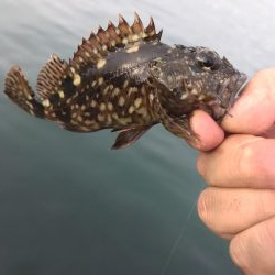 初釣行で釣り場調査