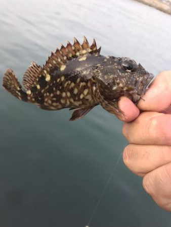 初釣行で釣り場調査