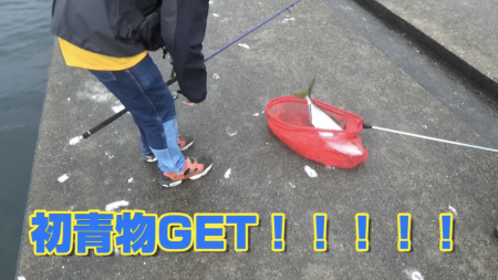 ポーアイ沖で初の青物！