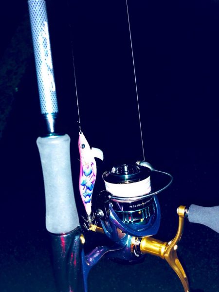 島根半島エギング