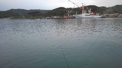 4/29釣果 残念な釣果でした。