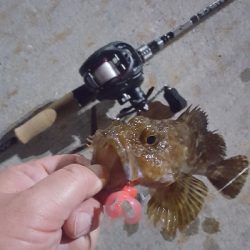 きびしくても優しい！