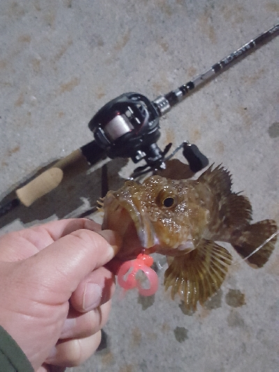 きびしくても優しい！