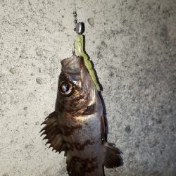 小物ばかり・・・