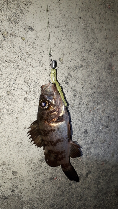 小物ばかり・・・