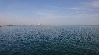 ダメダメでした。