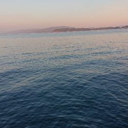 渋かったけどなんとか