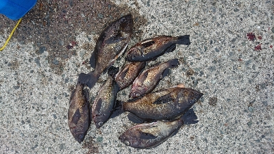 平成最後の満月釣行