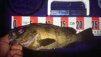 プッハー満足満足