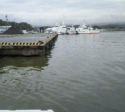 ヒラスズキ良好♪