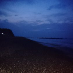 仁淀川河口周辺サーフライトショアジギング