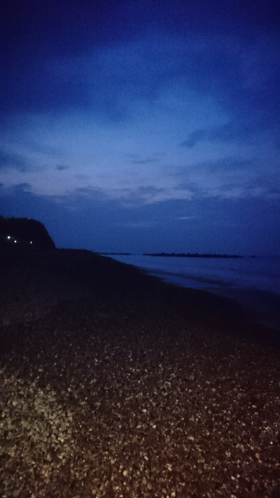 仁淀川河口周辺サーフライトショアジギング