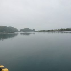 チョイ投げキス釣り