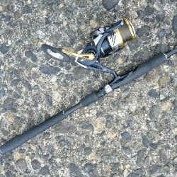 ゴールデンウィーク釣果2今日もいつもの。